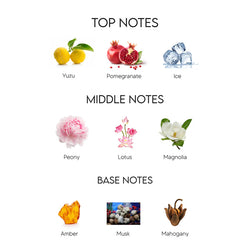 Impression Of Versace By Hamdan Scents (Beauty Queen) 50ML