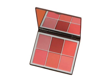 Sweet Face 6 Colour Blush On Matte and Silky Elegant Kit  01