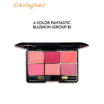 Colour Institute Blush On 6 Colour