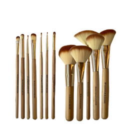 Clazona 12 Pieces Brush kit