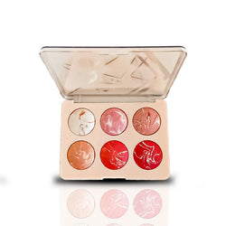 Color Institute 6 in 1 Terra cotta blushon & Highlighter Kit